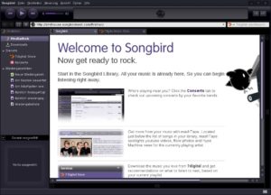 Abbildung 3: Songbird integriert komplette Webseiten in die grafische Oberfläche.