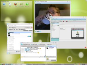Abbildung 5: Mit dem Kommunikationsprogramm Skype telefonieren Sie nicht nur über das Internet, sondern schalten damit auch Videokonferenzen oder verschicken Dateien.