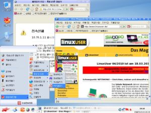 Abbildung 6: Die Startseite des "Naenara"-Browsers verweist fest verlinkt ins nordkoreanische "Intranet" (linkes Fenster). Bei korrekt vergebener IP-Adresse lässt sich jedoch durchaus im Web surfen (rechts).