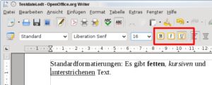 Abbildung 7: Die rote Markierung zeigt die Schaltflächen, über die Sie markierten Text fett, kursiv oder unterstrichen markieren.