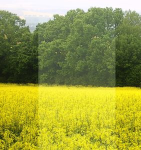 Abbildung 9: Eine Ebene mit Grauverlauf und entsprechendem Überlagerungsmodus gleicht wirkungsvoll starke Kontrastunterschiede im Bild aus. Im mittleren Bildbereich wurde der Effekt zum Vergleich weggelassen.