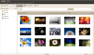 Die neuen Hintergrundbilder von Ubuntu 10.04 alias Lucid Lynx.