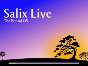 Der hübsche Startbildschirm der Bonsai-Distribution.