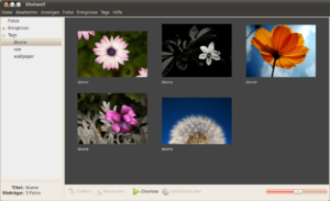 Shotwell ordnet die Fotosammlung chronologisch, nach Tags oder Events.