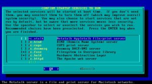 Abbildung 9: Nichts für schwache Nerven: Die Dienste-Auswahl während der Installation von Slackware.
