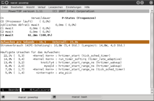 Der Stromverbrauch unter OpenSuse 11.3 Milestone6 laut "powertop".