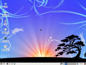 So schön kann Slackware sein: Das mit einem XFCE-Desktop und peppigen Artwork ausgestattete Salix Live 13.0 gibt sich schlank, schnell und komplett ausgestattet.