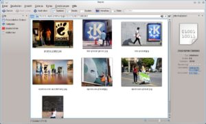 Abbildung 1: So durchstöbern Sie Ihre Flickr-Fotos.