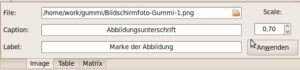 Abbildung 2: Bei Bedarf fügen Sie über einen Extra-Reiter die Informationen für Bilddateien ein.