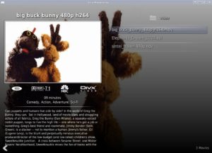 Abbildung 6: Enna sucht die Informationen zu Videodateien auf entfernten Servern zusammen. Dabei kann schon mal etwas schiefgehen, wie hier in der Ankündigung zu "Big Buck Bunny".