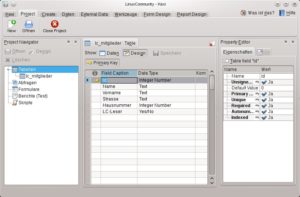 Dank der KOffice-Komponente Kexi2 verfügt die KDE SC jetzt wieder über ein einfach zu bedienendes Datenbank-Interface.