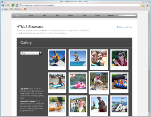 Rekonq hat keine Probleme beim Anzeigen der Gallery-Funktion der HTML-5-Demo von Apple.