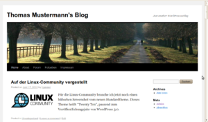 Mit Grafik und hübschem aufklappbaren Menü: Twenty Ten ist das neue Standard-Theme von WordPress 3.0.