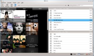 Abbildung 2: Ganz schön bunt: Die Alben-Ansicht von Minitunes sortiert sämtliche Alben alphabetisch.