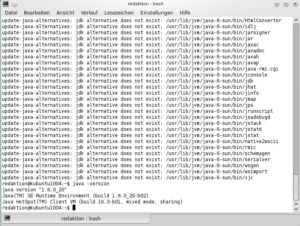 Abbildung 2: Per Befehl küren Sie das neue Java zum Standard und prüfen dann unter anderem im Internet, ob das geklappt hat.