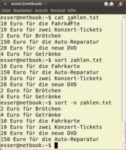 Abbildung 2: Zeilen, die mit Zahlen beginnen, können Sie alphanumerisch ("sort") oder numerisch ("sort -n") sortieren.
