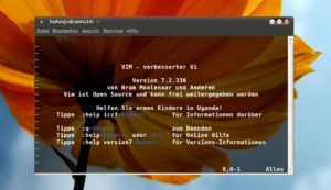 Abbildung 3: Bei transparenten Terminals scheint das Hintergrundbild des Desktops durch und bleibt so immer im Blick.