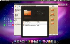 Abbildung 3: Für die besondere Optik von Ubuntu sorgt das Cairo-Dock im Stil von Mac OS X.
