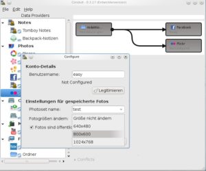 Abbildung 5: Beim Konvertieren und Synchronisieren arbeiten einige Bilderdienste Hand in Hand.