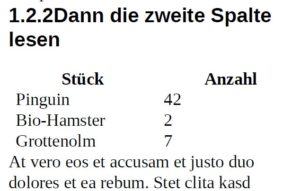Abbildung 9: Der abschließende Test des PDFs im Umfliessenmodus verläuft erfolgreich.