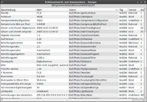 Abbildung 5: Geeqie zeigt die EXIF-Tags als Liste von Name und Wert an.