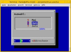 Abbildung 6: Die Kalenderauswahl, diesmal als Dialog-Box.