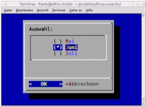 Abbildung 7: Schick: Die Auswahl mit Radiobuttons.