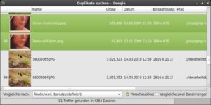 Abbildung 8: Inhaltlich ähnliche Bilder zeigt Geeqie sortiert an, wobei die erste Spalte den Grad der Ähnlichkeit signalisiert.