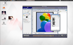 Gimp Video Training läuft ...