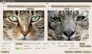 Morphing Einstellungen