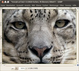 Morphing Zielbild Schneeleopard