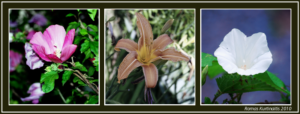 Endergebnis - Triptych