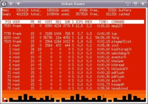 Abbildung 1: Die Terminalemulation Rxvt-Unicode mit dem Theme Urbandawn.