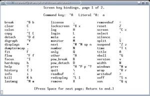 Abbildung 1: Über Eingabe von <code srcset=