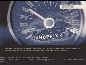 Abbildung 1: Der Startbildschirm von Knoppix. Zum Durchstarten drücken Sie einfach die Eingabetaste.