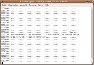 Abbildung 1: Ausgabe von Hexdump beim Blättern durch die Sektoren des USB-Sticks.