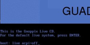 Abbildung 1: Wenn die Live-CD beim Booten Schwierigkeiten macht, hilft oft die Option "live acpi=off" weiter.