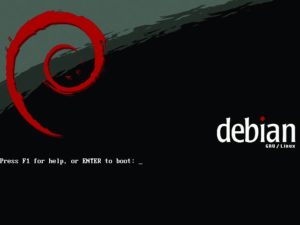 Abbildung 1: Schon der Boot-Screen von Sarge verrät, dass die Debian-Entwickler viel Arbeit in neue und benutzerfreundlichere Oberflächen gesteckt haben.