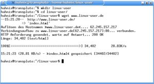 Abbildung 1: Wget bei der Arbeit: Der einfache Aufruf erfasst keine eingebetteten Bilder und verfolgt keine Links.