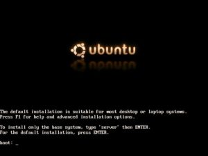 Abbildung 1: Der im neuen Ubuntu grafische Boot-Screen bietet außer optischem Genuss die Möglichkeit zur Eingabe spezieller Boot-Parameter.