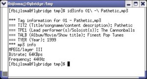 Abbildung 1: Ausgabe eines Tags mit id3info …
