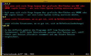 Abbildung 1: Mit Vim wird's bunt – die Datei "unterschiede.diff" im Editor.