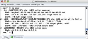 Abbildung 1: Im Datenwust von "ip addr" finden sich als wichtigste Informationen die aktuelle IP-Adresse und die Netzmaske hinter "inet".