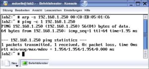 Abbildung 1: Ohne DHCP-Server besorgt sich der Druckeradapter die IP-Adresse aus einem für ihn bestimmten Ping-Paket. Zuvor muss die IP-Adresse von Hand der Hardware-Adresse des Druckeradapters zugewiesen werden.