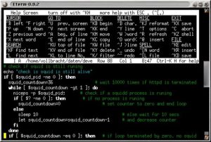 Abbildung 1: Seit Version 3.0 beherrscht der Konsolen-Editor Joe auch Syntax Highlighting.
