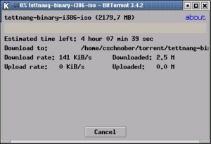 Abbildung 1: BitTorrent sorgt für hohe Download-Geschwindigkeiten.