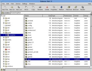 Abbildung 1: Das Dateimanager-Fenster von Endeavour.