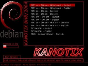 Abbildung 1: Im Gegensatz zu Knoppix besitzt Kanotix ein grafisches Startmenü. In diesem wählt der Benutzer die gewünschten Cheatcodes aus.
