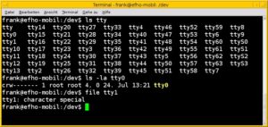 Abbildung 1: Die Gerätedateien für Terminal aufgelistet in einem XFCE-Terminal.