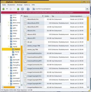 Abbildung 10: Die Datenbankstruktur von Digikam auf dem MySQL-Server. An diesen Dateien sollten Sie nichts ändern.